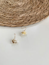 Afbeelding in Gallery-weergave laden, Oasi
